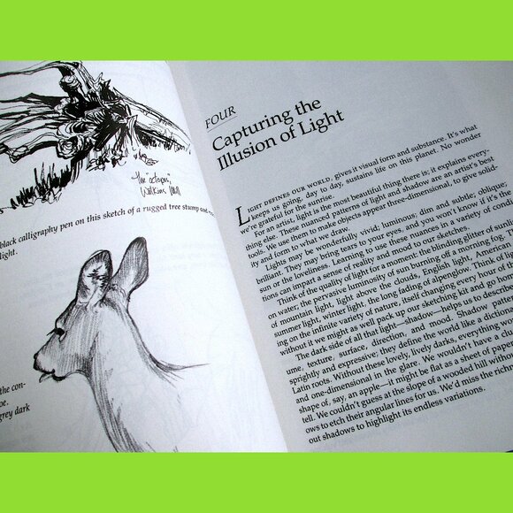 Book: The Sierra Club Guide to Sketching in Nature, by Cathy Johnson - Picture 6 of 16